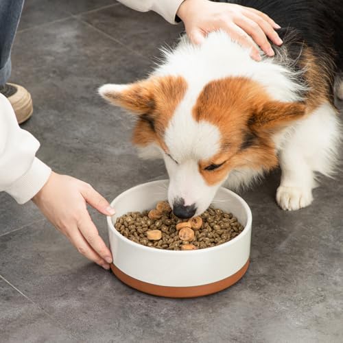 Dog Bowls Ceramic Dog Food and Water Bowls for Large Size Dogs (L-6 Cups / Vanilla White（1 PC）)