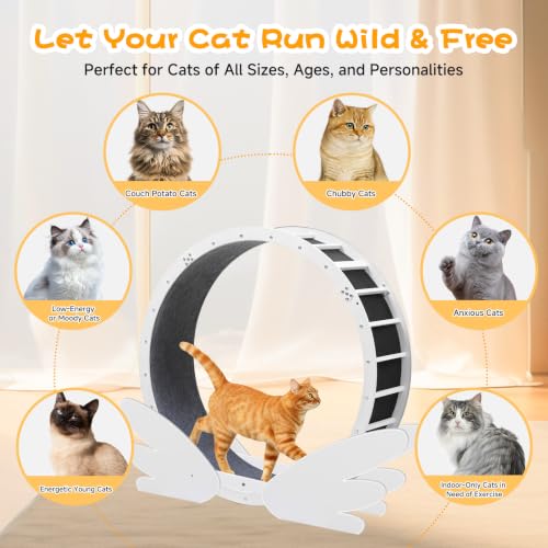Cat Wheels 40" Diameter