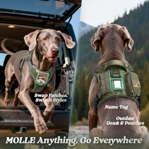 Tactical Dog Harness for Small Dogs (S(Chest:16.1"-31.5",Neck:15.4"-21.6",Back:7.1") / Green Camo)