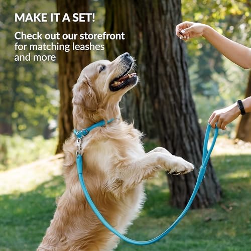 Tangle Free Reflective Leather Dog Collar (Light Blue / L)