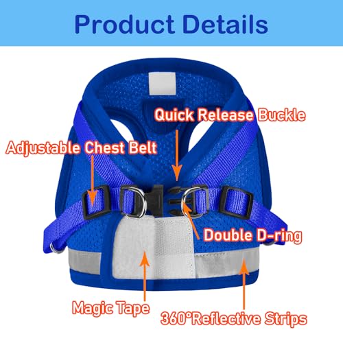 Cat Harness and Leash Set (XS (Chest: 6" - 8") / Blue)