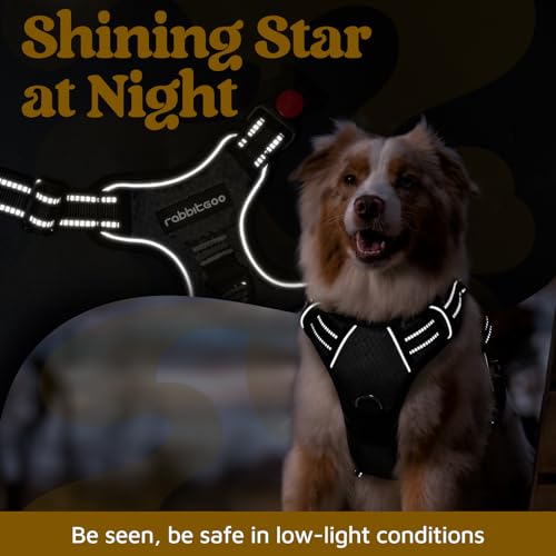 Dog Harness for Large (Black / Large)