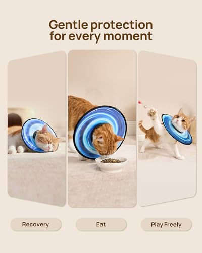 Soft Cat Cone Collar (Astral Depth / S)