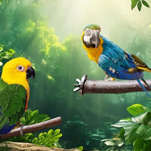 10 PCS Natural Parrot Perch Bird Cage Accessories