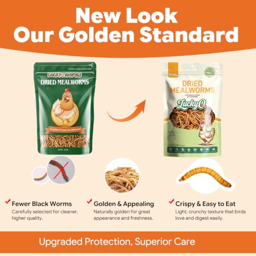1lbs Dried Mealworms for Chickens Duck High Protein Birds Treat (1 Pound (Pack of 1))