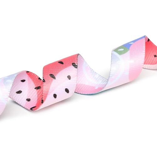 Adjustable Dog Collar (Medium / Watermelon)