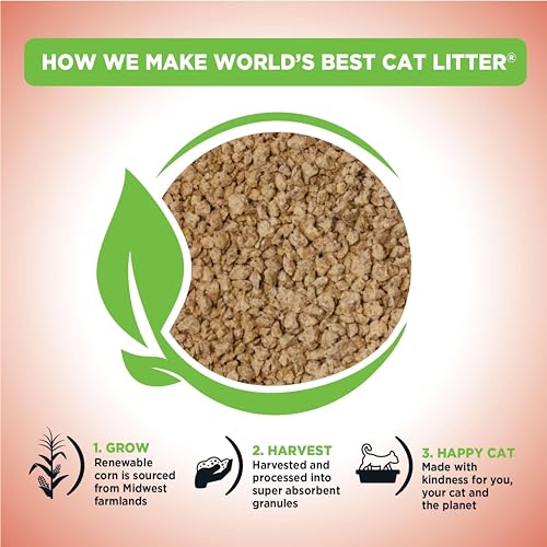 Multiple Cat Unscented (15 lb)