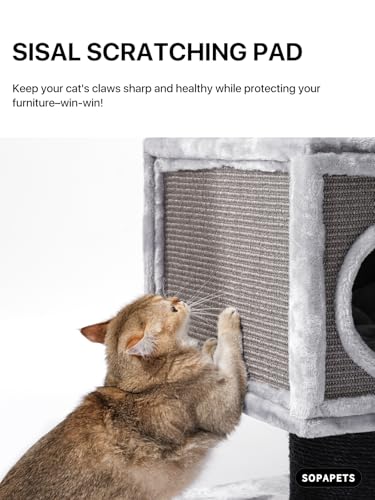 Maine Coon Cat Tree for Indoor Cats Large Adult (Dark Gray)