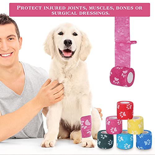 Vet Wrap Self Adhering Bandage Wrap Cohesive Bandage Multi (Mixed-1 12 Rolls)