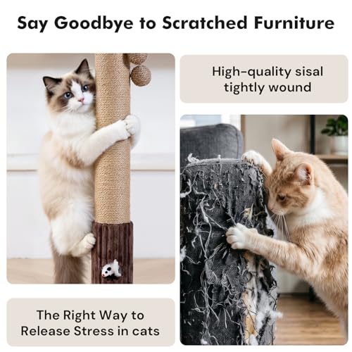 35"Cat Scratching Posts For Indoor Cat (Brown)