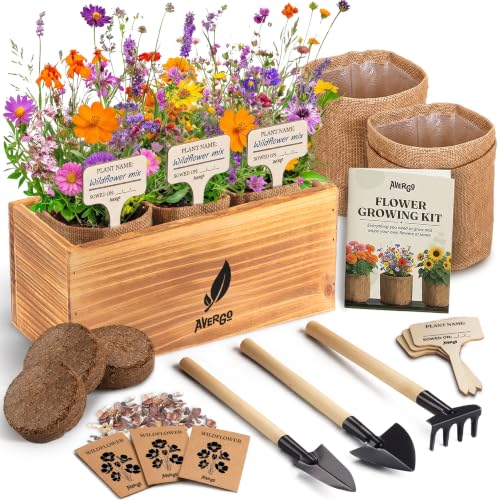 Wildflower Seed Mix Growing Kit