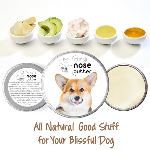 Corgi Unscented Nose Butter (Corgi / 4 Ounce)