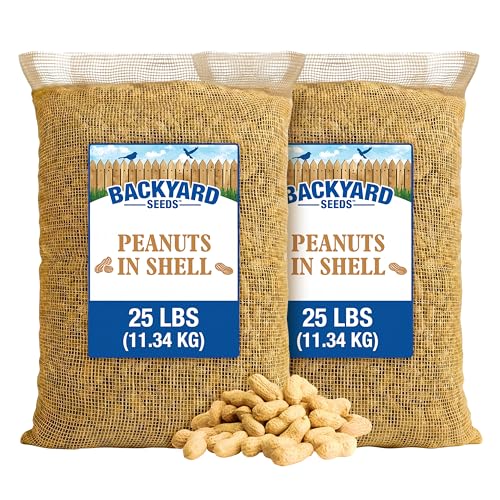 Backyard Seeds 50 Pounds Peanuts in Shell (50 Pound (Pack of 1) / Raw In-Shell)