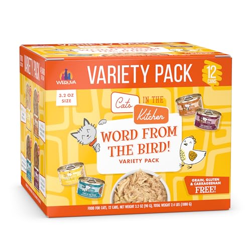 Cats in The Kitchen (3.2 Ounce (Pack of 12))