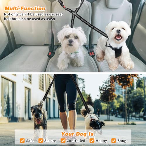 Double Dog Seat Belt for Car (Black)