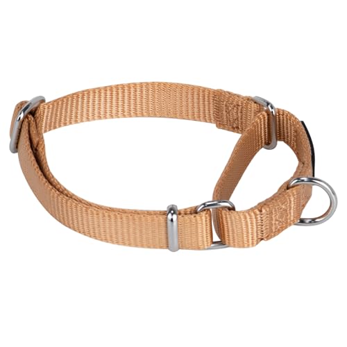 Martingale Dog Collar (Small / Clay)