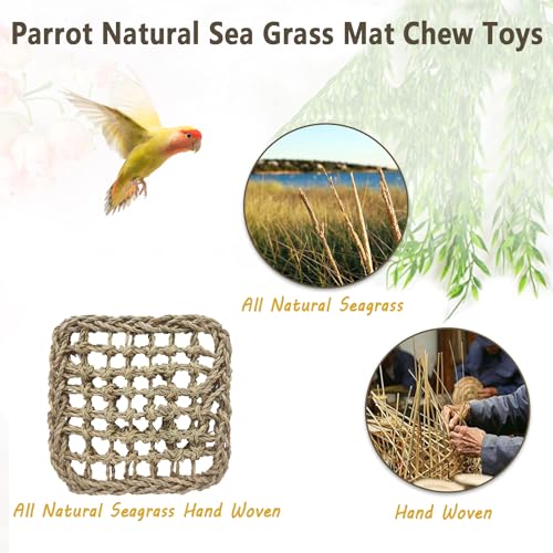 3 PCS Parrot Seagrass Mat