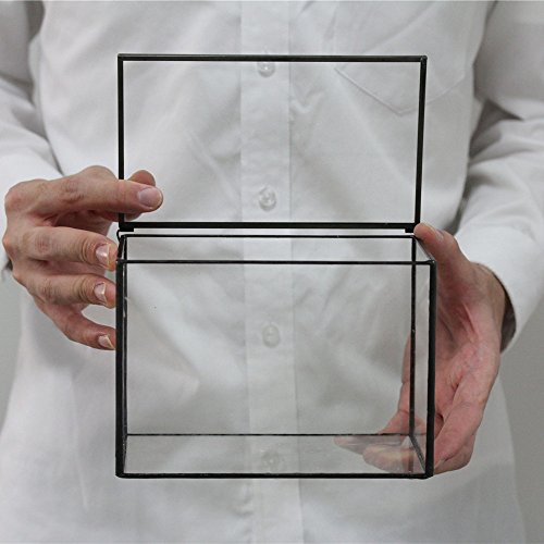 Small Glass Terrarium Planter with Lid (Black / 17x10x12cm)