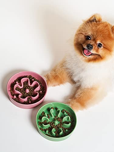 Ceramic Slow Feeder Dog Bowls Small Breed (Clover Green / S-0.6 Cups)