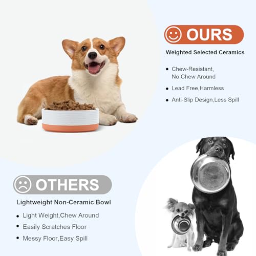 Ceramic Dog and Cat Bowls 2 Pack (6.1 in - 3.6 cups / Pattern White - Only Bowls*2)