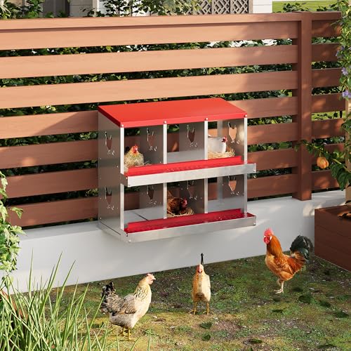 6 Hole Chicken Nesting Box with Roll Out Egg Tray