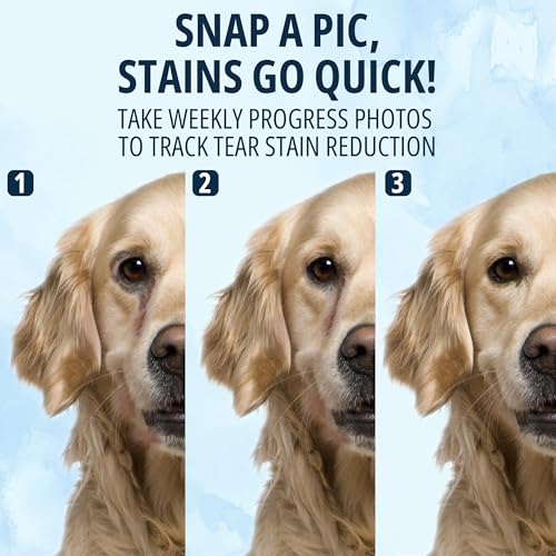 Cat & Dog Eye Wipes Tear Stain Remover For Discharge and Crust (1 Count (Pack of 150))