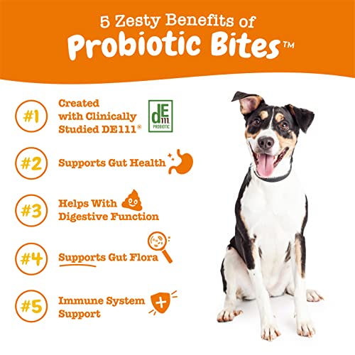 Probiotics for Dogs (250 Count)