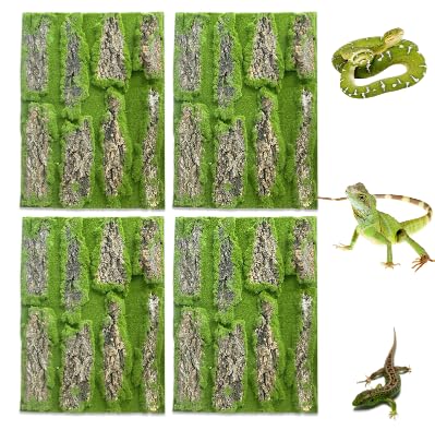 Reptile Terrarium Cork Background