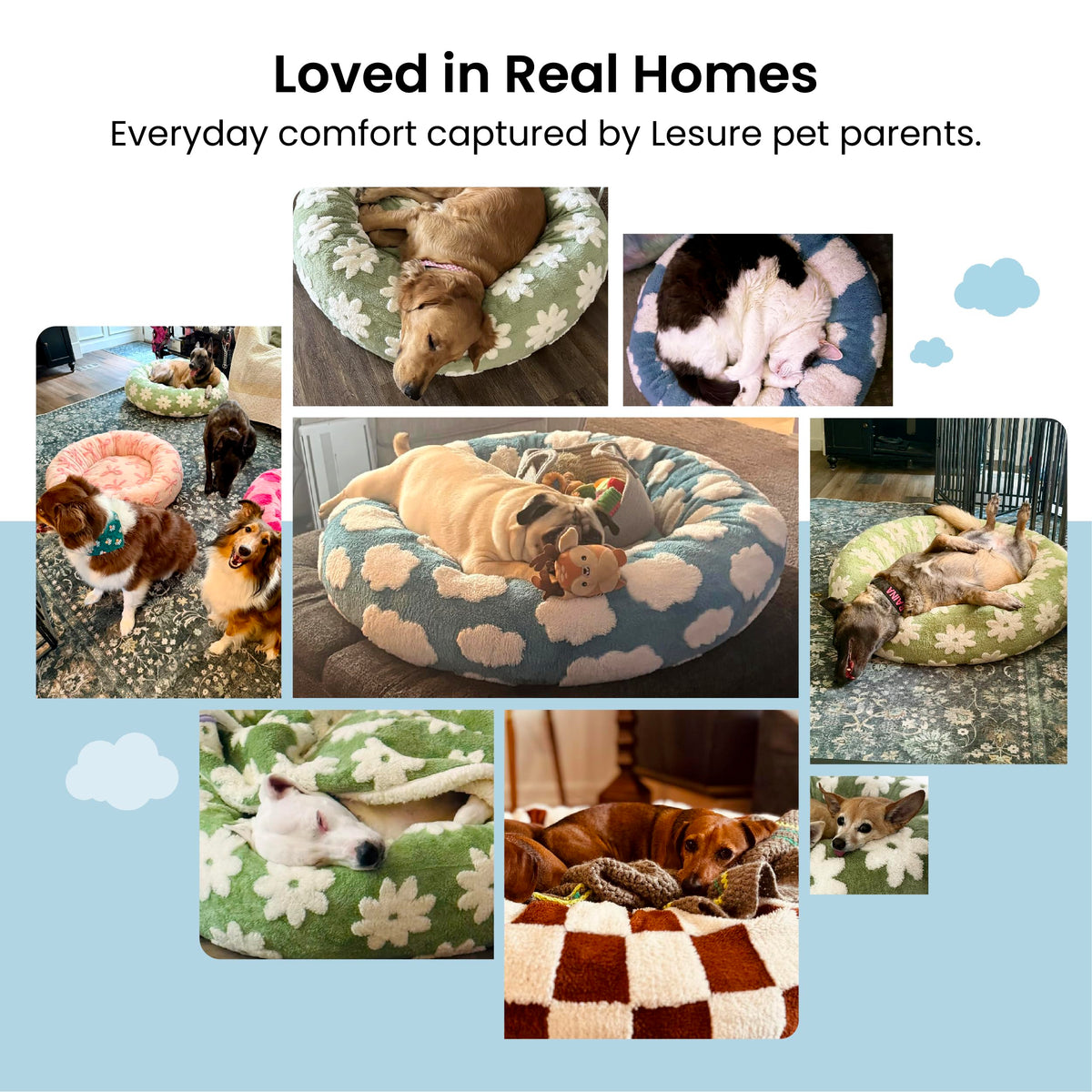 Shown on TV Jacquard Donut Dog Beds Large Sized Dog (36.0"L x 36.0"W x 8.0"Th / Cozy Clouds Blue)