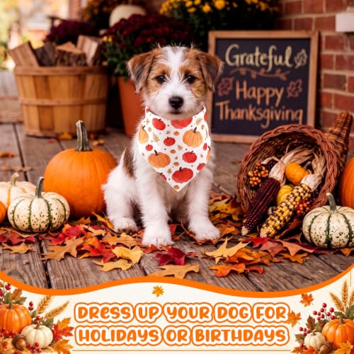72 Pcs Thanksgiving Dog Bandanas Bulk Pumpkin Triangle Scarf (Thanksgiving 2)