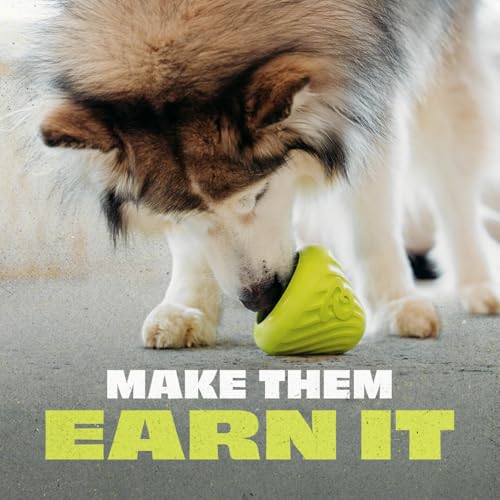 Natural Rubber Cone Interactive Treat Dispensing Dog Toy (One Size)