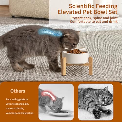 Elevated Ceramic Dog Bowl (White / Small)