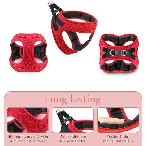 Comfort fit Step (M (Chest 17"-18.5") / Red)