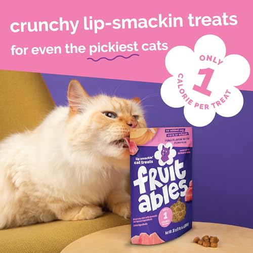 Crunchy Cat Treats (2.5 Ounce (Pack of 1) / Tuna & Pumpkin)