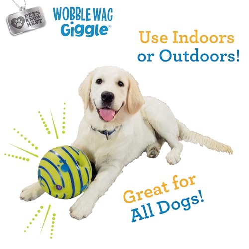 Ball Interactive Dog Toy (Original)
