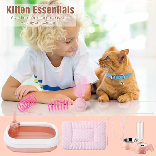 10 Pcs Kitten Starter Kit for Indoor (Classic / Medium / Pink)
