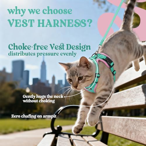Cat Harness and Leash Set (M / Green & Pink)