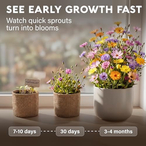 Wildflower Seed Mix Growing Kit