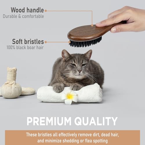 Boar Bristle Cat Brush (Black Boar Bristle)