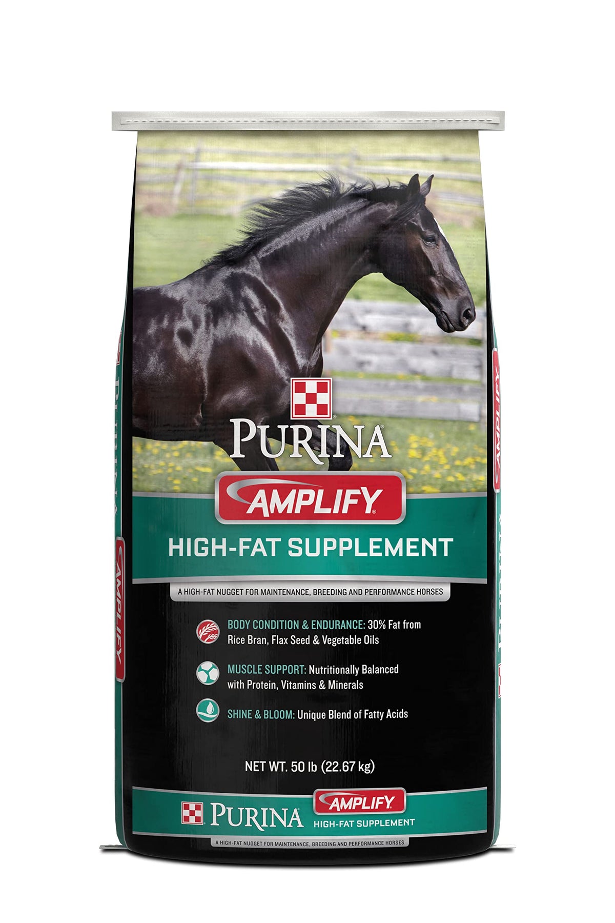 Amplify Equine (One Size)