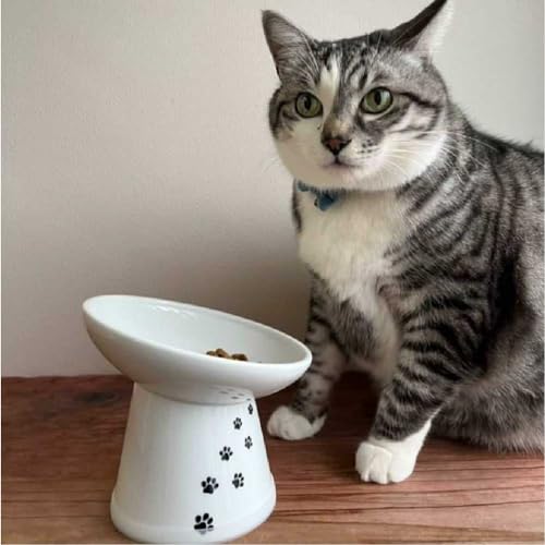 Necoichi Ceramic Elevated Cat Food Bowl (Cat / Large Extra Wide Tilted)