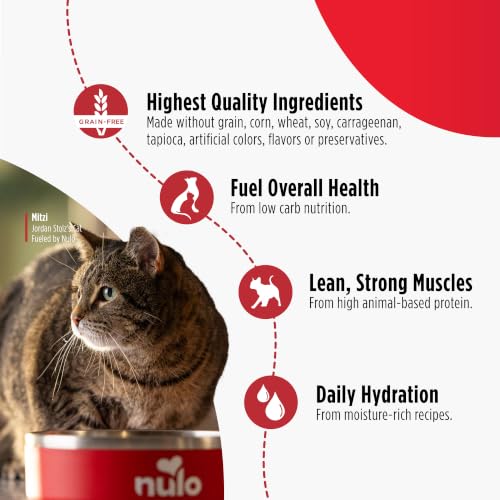 Canned Wet Cat Food (6 Ounce (Pack of 8))