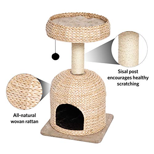 Cat Tree Scout Cat Furniture Cat Activity Tree w (Scout Woven Rattan/Script)