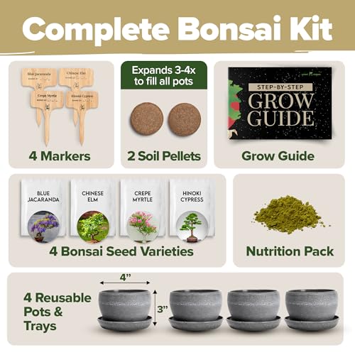 Bonsai Tree Starter Kit