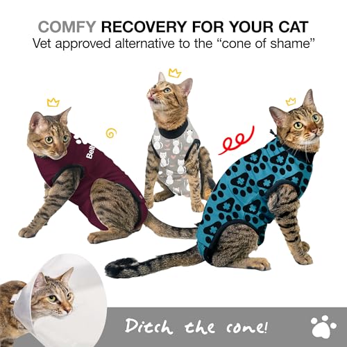 Cat Recovery Suit Female and Male (Grey / XSmall+)