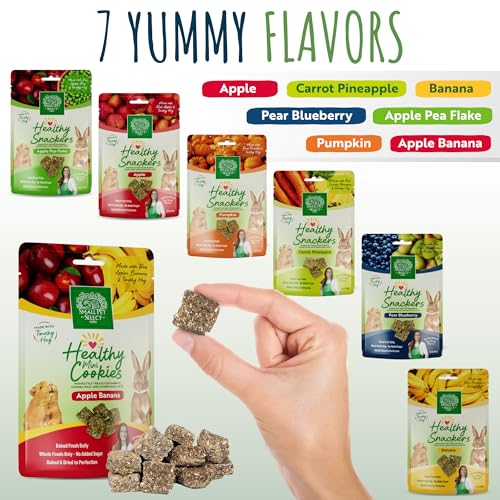 Healthy Snacker (2 Ounce (Pack of 1))