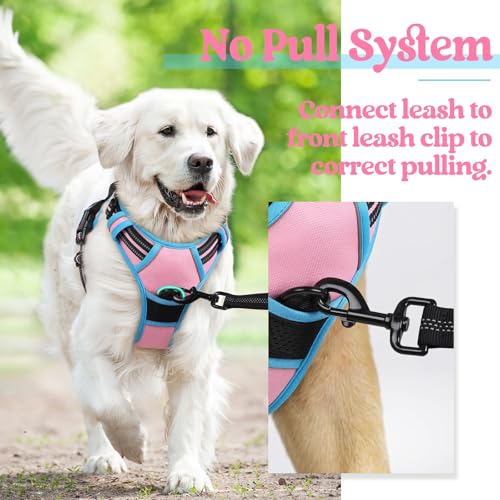 Dog Harness No Pull for Large Dogs with 2 Leash Clips (Large / Pink & Blue)