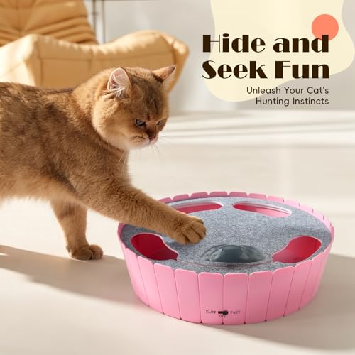 Interactive Cat Toy with Running Mouse (P-Pink)