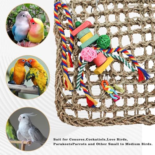 Large Bird Swing Toys