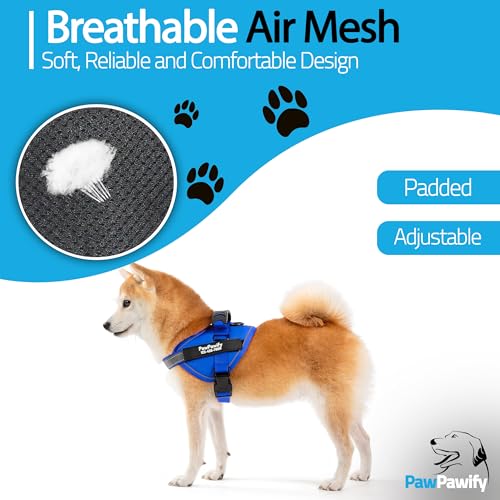 Custom No Pull Dog Harness with Name and Phone Number (M (20-40 LBS) / New Blue)